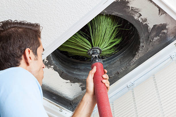 Best Emergency Air Duct Cleaning  in Avalon, PA